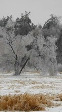 Новые обои 1080x1920 на телефон скачать бесплатно: Деревья, Зима, Пейзаж, Снег.