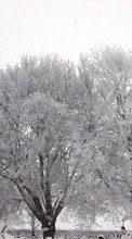 Новые обои 1080x1920 на телефон скачать бесплатно: Деревья, Пейзаж, Снег, Зима.