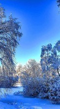 Деревья, Пейзаж, Снег, Зима для Nokia Lumia 530