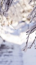 Деревья, Пейзаж, Снег, Зима для BlackBerry Bold 9900