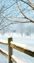 Новые обои на телефон скачать бесплатно: Деревья, Пейзаж, Снег, Зима.