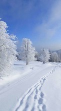Новые обои на телефон скачать бесплатно: Деревья, Пейзаж, Снег, Зима.