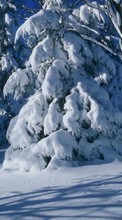 Деревья, Пейзаж, Снег, Зима для Motorola Flipout