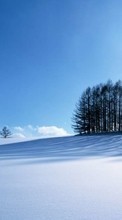 Новые обои на телефон скачать бесплатно: Деревья,Пейзаж,Снег,Зима.