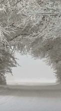 Новые обои на телефон скачать бесплатно: Деревья,Пейзаж,Снег,Зима.