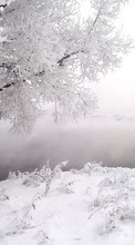 Новые обои 240x320 на телефон скачать бесплатно: Деревья, Зима, Пейзаж, Снег.