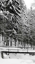Новые обои 128x160 на телефон скачать бесплатно: Деревья, Зима, Пейзаж, Снег.