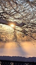 Деревья,Пейзаж,Солнце,Зима для Lenovo A369i