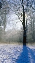 Новые обои на телефон скачать бесплатно: Деревья, Пейзаж, Зима.