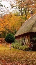 Дома,Осень,Пейзаж для Samsung Monte S5620
