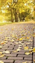 Дороги,Листья,Осень,Пейзаж для Samsung Galaxy Core 2
