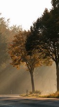 Дороги,Осень,Пейзаж для Sony Ericsson C510