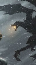 Драконы, Игры, The Elder Scrolls для LG GW300