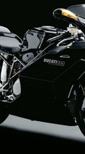 Новые обои 240x320 на телефон скачать бесплатно: Дукати (Ducati), Мотоциклы, Транспорт.