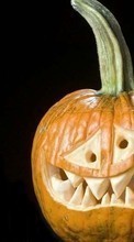 Еда, Хэллоуин (Halloween), Праздники, Юмор