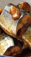 Еда, Рыбы для Samsung Galaxy Beam