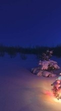 Елки,Пейзаж,Снег,Зима для Asus ZenFone Go ZC500TG