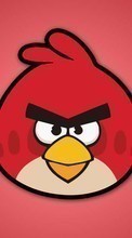 Новые обои на телефон скачать бесплатно: Фон, Игры, Злые птицы (Angry Birds).