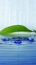 Фон, Капли, Листья, Вода для HTC Desire 816