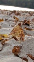 Фон, Листья, Осень, Песок, Пляж для Nokia E71