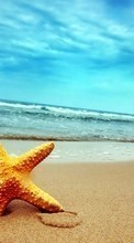 Новые обои на телефон скачать бесплатно: Фон,Море,Морские звезды,Пляж.