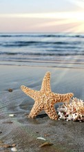 Море, Пляж, Солнце, Фон для Samsung Galaxy Fame