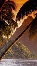 Горы, Море, Пальмы, Пейзаж для HTC Desire VC
