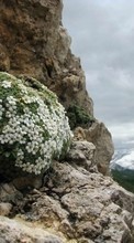 Горы,Пейзаж,Природа для HTC One M8