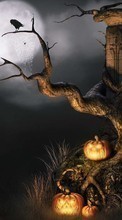 Хэллоуин (Halloween), Праздники, Тыквы для Samsung Galaxy Grand Neo Plus