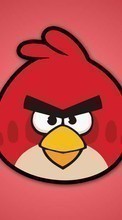Новые обои на телефон скачать бесплатно: Игры,Злые птицы (Angry Birds).