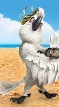 Рио (Rio), Мультфильмы, Пляж, Попугаи, Птицы для Acer CloudMobile S500
