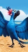 Рио (Rio), Мультфильмы, Попугаи, Птицы для Fly ERA Life 6 Quad IQ4503