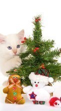 Кошки, Новый Год (New Year), Праздники, Рождество (Christmas, Xmas), Животные для Samsung Galaxy S21