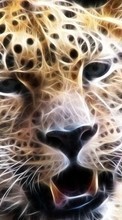 Леопарды, Животные для Apple iPod touch 1G
