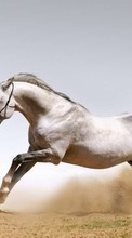 Лошади,Животные для Sony Xperia Z5