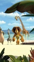 Новые обои на телефон скачать бесплатно: Мадагаскар (Madagascar), Мультфильмы.