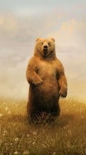 Медведи,Животные для Google Pixel 5