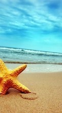 Новые обои на телефон скачать бесплатно: Море, Морские звезды, Небо, Пейзаж, Пляж.