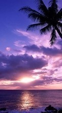Море, Небо, Пальмы, Пейзаж, Солнце, Закат для BlackBerry Curve 9380