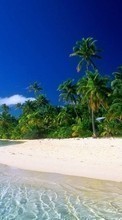 Море, Облака, Пальмы, Пейзаж, Песок, Пляж для LG C105