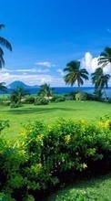 Море, Пальмы, Пейзаж для Samsung Galaxy Pocket 2