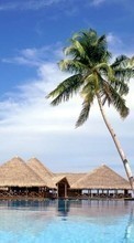 Море,Пальмы,Пейзаж для Sony Ericsson W350
