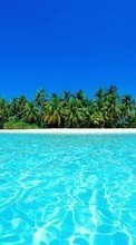 Море,Пальмы,Пейзаж для LG GS190