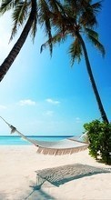 Море, Пальмы, Пейзаж, Пляж для Micromax AQ5001