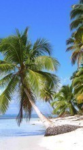 Море, Пальмы, Пейзаж, Пляж для Asus ZenFone Go ‏ZB452KG