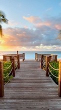 Море, Пальмы, Пейзаж, Пляж, Закат для Samsung Galaxy Chat