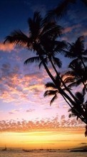 Море,Пальмы,Пейзаж,Закат для HTC Desire 700