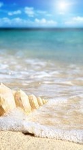 Море, Пейзаж, Пляж, Ракушки для BlackBerry Bold 9000