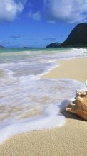 Море, Пейзаж, Пляж, Ракушки для Sony Ericsson Xperia X8