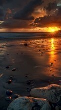Море,Пейзаж,Пляж,Закат для OnePlus 8T